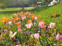 Landesgartenschau Höxter Remtergarten