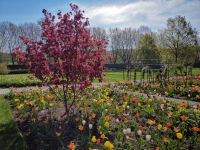 Landesgartenschau Höxter Remtergarten