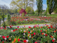 Landesgartenschau Höxter Remtergarten