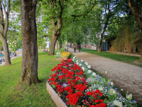 Landesgartenschau Höxter Wallanlage