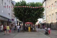 Baum-Gutachten in Auftrag gegeben