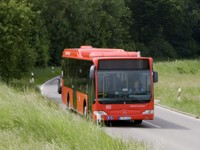 Geführte Wanderung am 16. Juni im Wiehengebirge