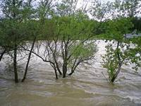 Jahrhundertflut: Hochwasserschutz an der Elbe weiter mangelhaft