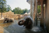 Tiergartenfest im Zoo Hannover