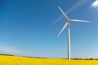 Energiewende und biologische Vielfalt retten