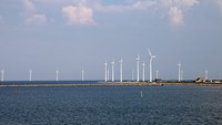 NABU klagt gegen den Offshore-Windpark Butendiek