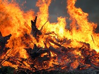 Osterfeuer in Hannover