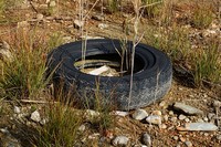 Verbrennen und Recyceln von Abfällen wird nicht mehr gleichgestellt