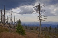 EU-Klimaziele unterlaufen Klimaschutzabkommen