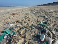 Plastikmüll aus dem Meer