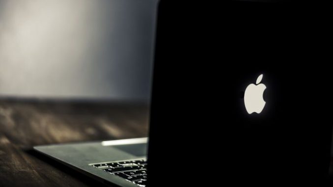Digitales Leben nach dem Tod?
