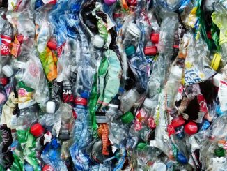 BUND-Aktion Plastikfasten: Sieben Wochen ohne Plastik – Umweltschäden und Ressourcenverschwendung verringern