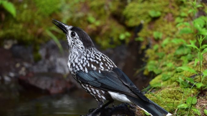 Raus aus dem Haus, rein in die Natur Raus aus dem Haus, rein in die Natur