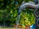 Zweithöchste Nitratbelastung des Grundwassers in der EU