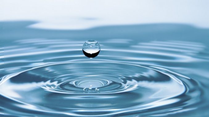 Überraschende Erkenntnisse über die Grundwasserfauna