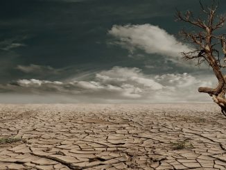 Trockenheit - Umweltkrise