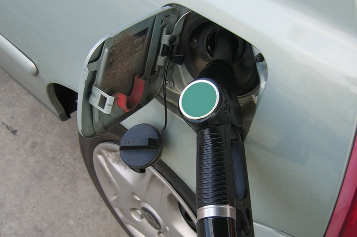 Kein Palmöl im Diesel EU verbannt Palmöl aus dem Diesel