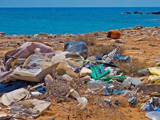 Plastikmüll im Meer: Jeder Zweite in Deutschland gibt sich selbst die Schuld