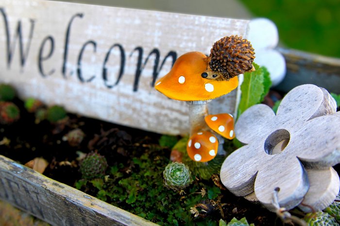 Garten_Igel