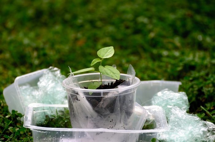 Plastikkrise in unseren Böden