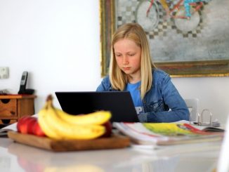 Lernplattform schulen-hannover.de