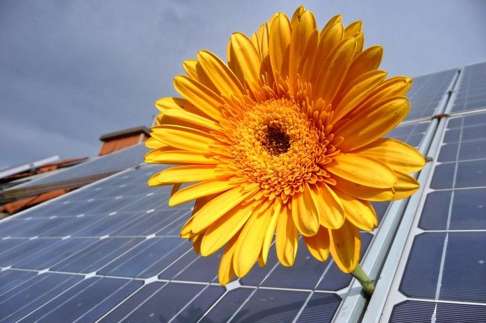 Energiewende Rechtes Weserufer Energiewende Rechtes Weserufer