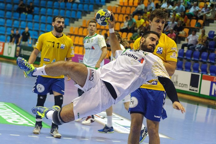 Handball Hannover will wieder WM-Stadt werden