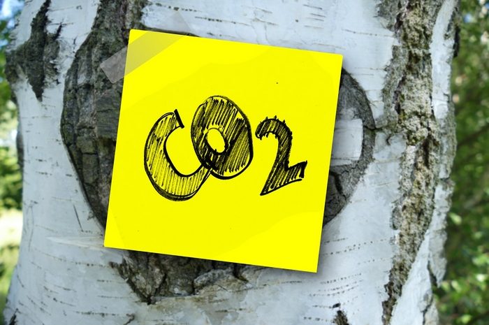 CO2-Verbrauch