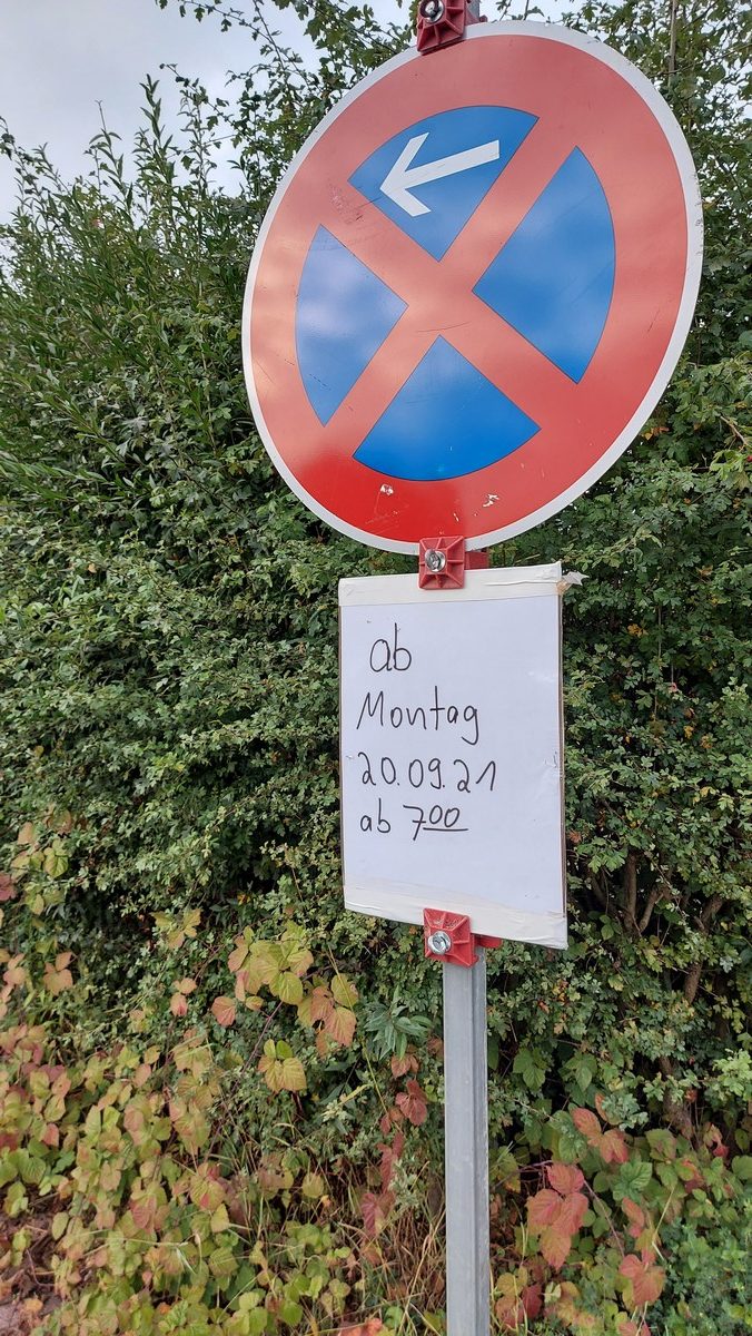 Hecke_Gartenringstr