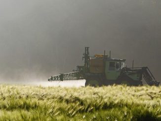 Abkehr von Pestiziden statt „notwendiges Maß“