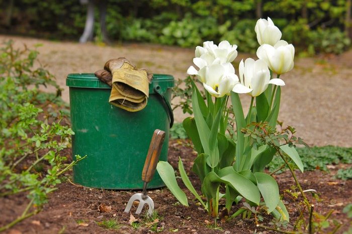 Gesundheitsgefährdende Stoffe in Gartenartikel gefunden