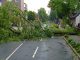 Sturmschäden - Welche Versicherung schützt gegen welche Schäden