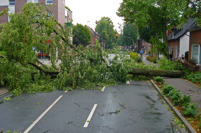 Sturmschäden - Welche Versicherung schützt gegen welche Schäden