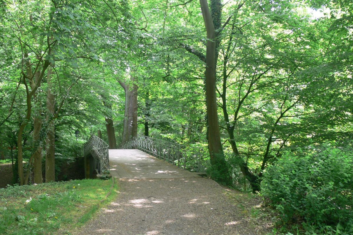 Weg im Glacis