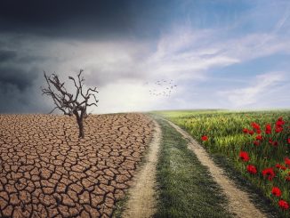 Klimawandel - Klimapolitik - politisches Versagen