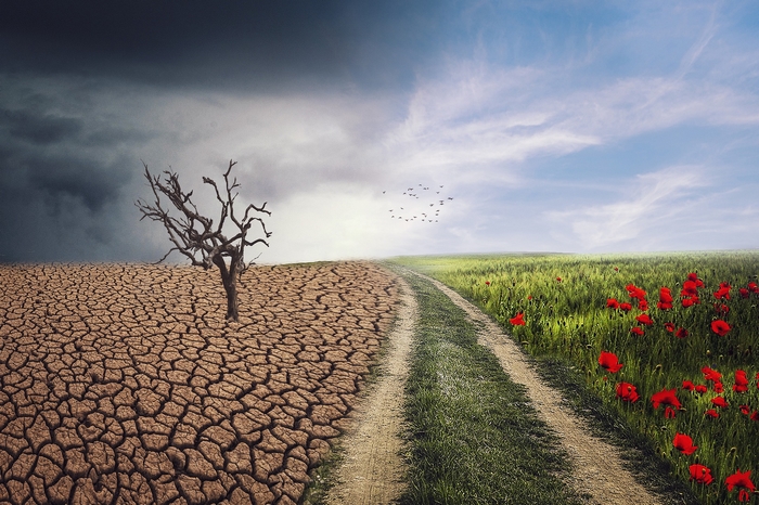 Klimawandel Klimawandel - Klimapolitik - politisches Versagen