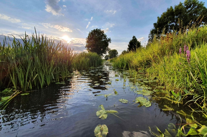 Minden - Bastau - Leben am Wasser