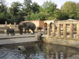 Zoo Hannover