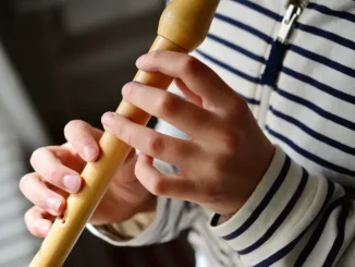 Musikschule Instrumentencheck