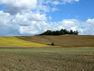 Acker Landwirtschaft Brachfläche