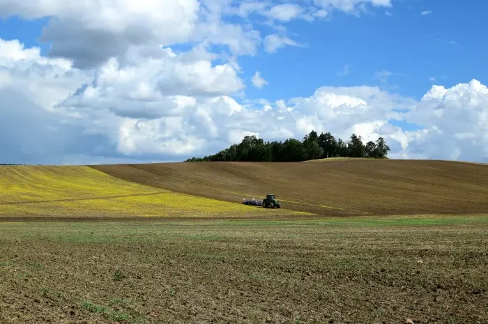 Acker Landwirtschaft Brachfläche