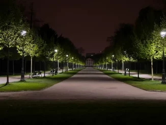 Park beleuchtet